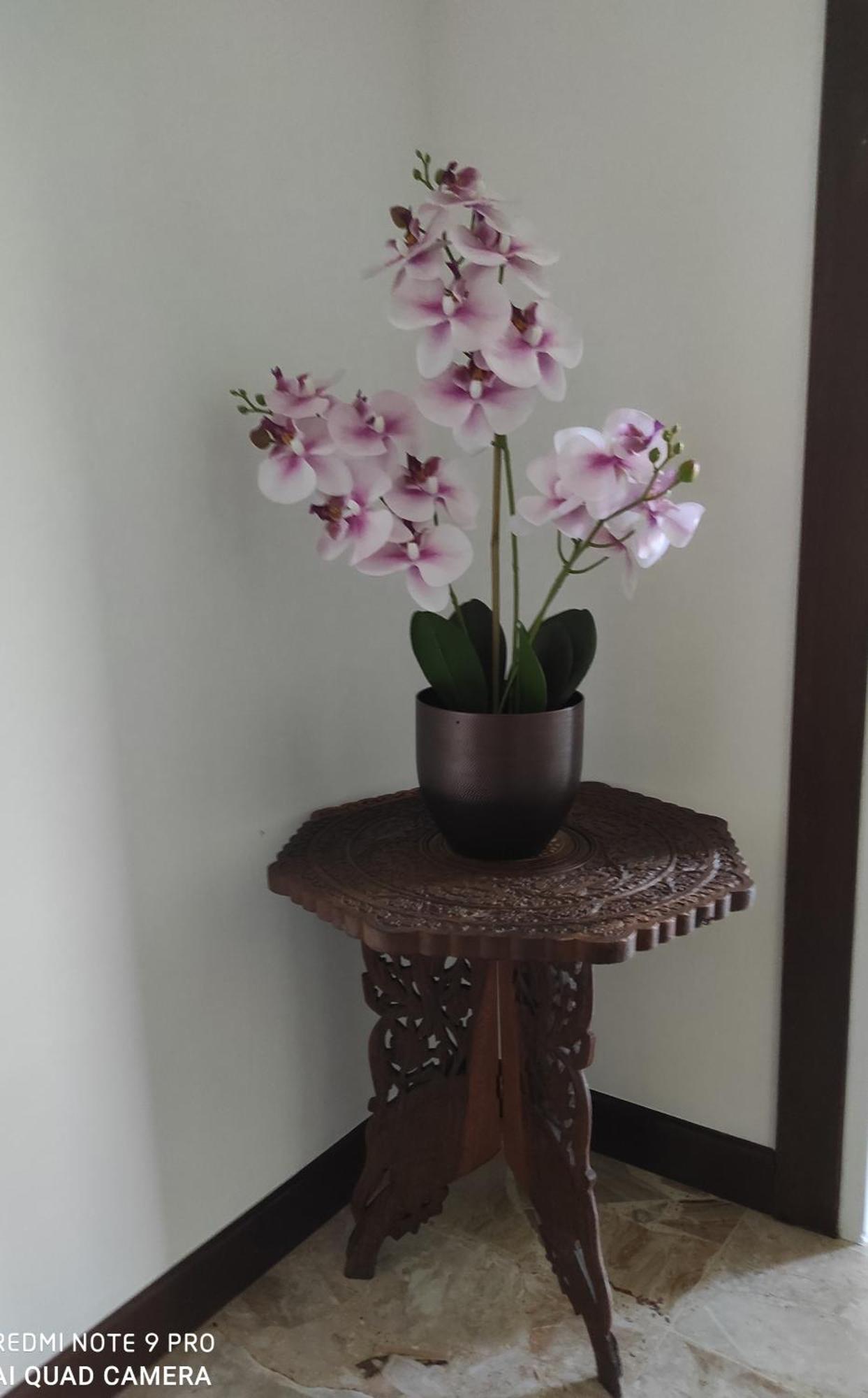 La Casa Di Nonna Mimi Apartment Abbadia Lariana Luaran gambar
